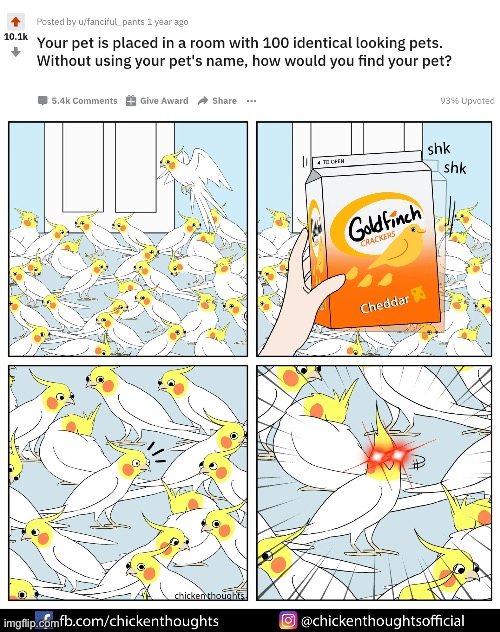 Birb comic: identifying your pet | image tagged in birb,comics | made w/ Imgflip meme maker