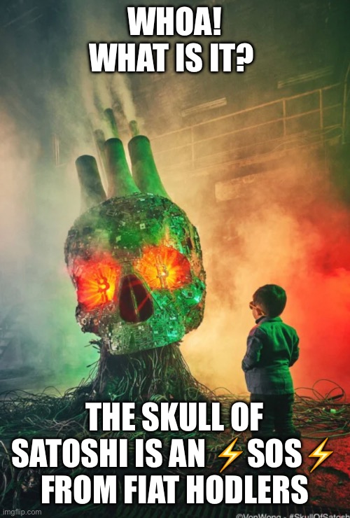 WHOA! WHAT IS IT? THE SKULL OF SATOSHI IS AN ⚡️SOS⚡️ FROM FIAT HODLERS | made w/ Imgflip meme maker