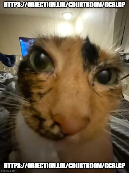 Jonquavius John Jingle Jang Joogle Gloop the 3rd | HTTPS://OBJECTION.LOL/COURTROOM/GCBLGP; HTTPS://OBJECTION.LOL/COURTROOM/GCBLGP | image tagged in jonquavius john jingle jang joogle gloop the 3rd | made w/ Imgflip meme maker