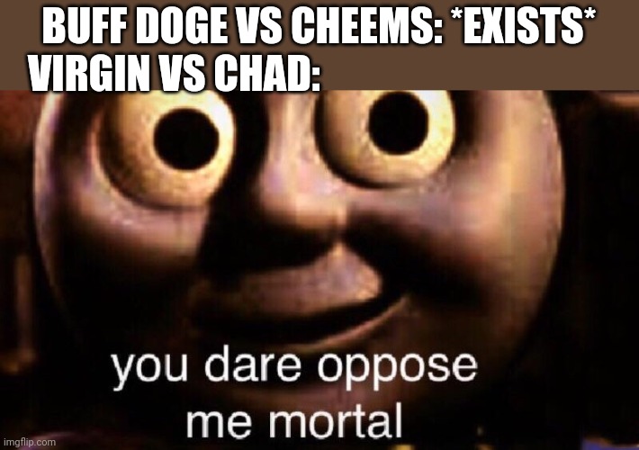 You dare oppose me mortal | BUFF DOGE VS CHEEMS: *EXISTS* VIRGIN VS CHAD: | image tagged in you dare oppose me mortal | made w/ Imgflip meme maker
