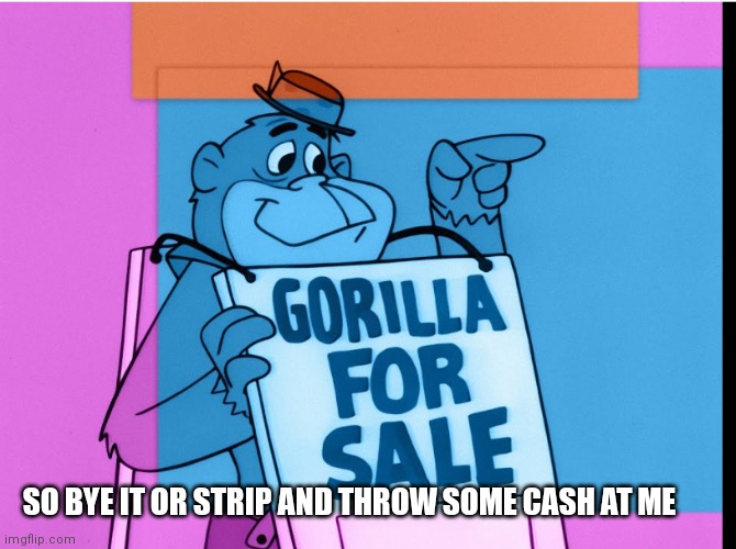 Throw some cash at magilla | SO BYE IT OR STRIP AND THROW SOME CASH AT ME | image tagged in gorilla for sale,funny memes | made w/ Imgflip meme maker