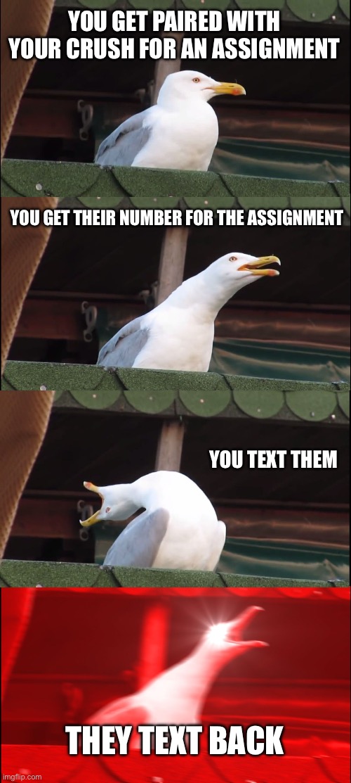 Crush things | YOU GET PAIRED WITH YOUR CRUSH FOR AN ASSIGNMENT; YOU GET THEIR NUMBER FOR THE ASSIGNMENT; YOU TEXT THEM; THEY TEXT BACK | image tagged in memes,inhaling seagull,crush,school,middle school | made w/ Imgflip meme maker