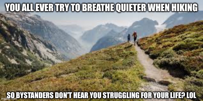 Hiking or Struggling | YOU ALL EVER TRY TO BREATHE QUIETER WHEN HIKING; SO BYSTANDERS DON'T HEAR YOU STRUGGLING FOR YOUR LIFE? LOL | image tagged in funny | made w/ Imgflip meme maker