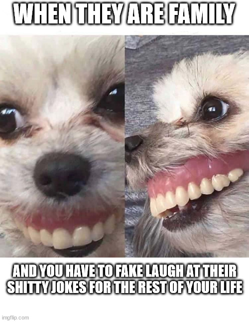 Fake Laugh | WHEN THEY ARE FAMILY; AND YOU HAVE TO FAKE LAUGH AT THEIR SHITTY JOKES FOR THE REST OF YOUR LIFE | image tagged in dog,funny,dentures,smile,fake,laugh | made w/ Imgflip meme maker