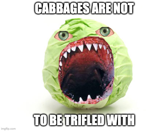 Cabbage | CABBAGES ARE NOT; TO BE TRIFLED WITH | image tagged in cabbage,memes | made w/ Imgflip meme maker