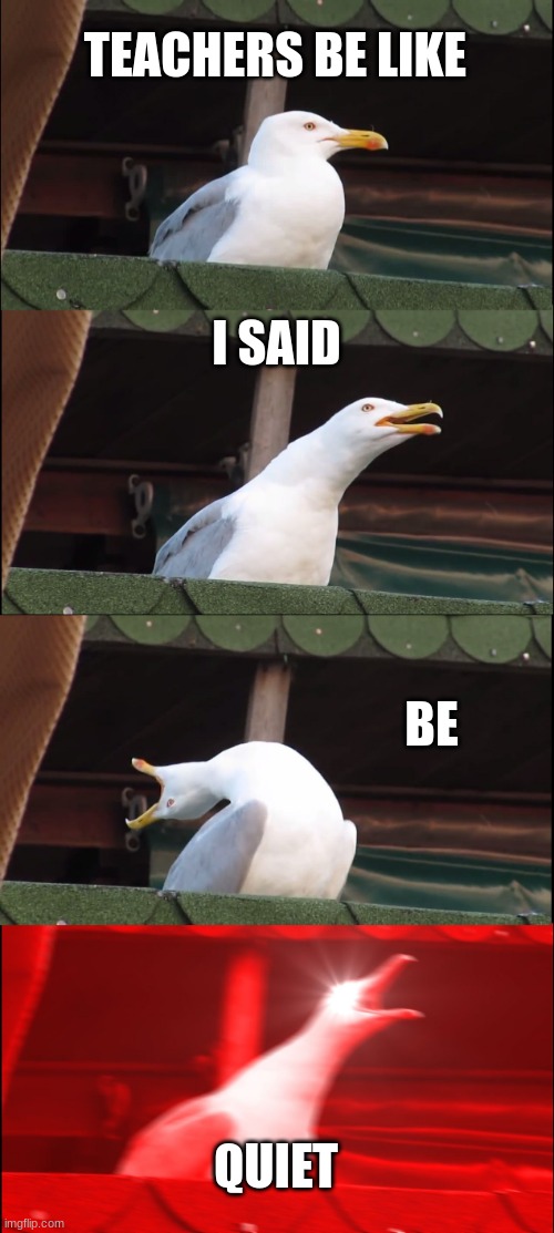 Inhaling Seagull | TEACHERS BE LIKE; I SAID; BE; QUIET | image tagged in memes,inhaling seagull | made w/ Imgflip meme maker
