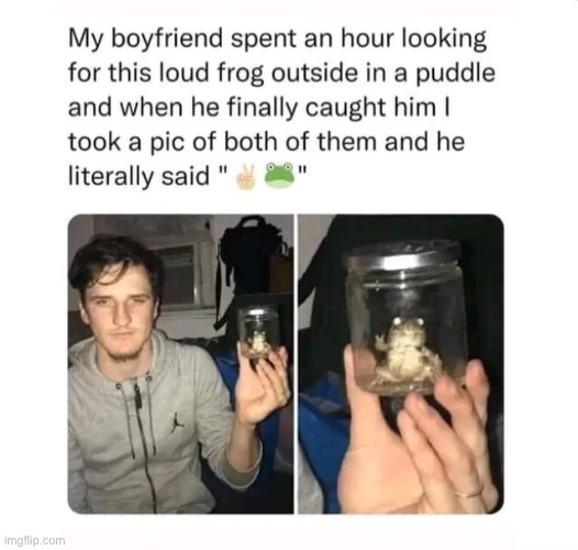 image tagged in memes,funny,wholesome | made w/ Imgflip meme maker