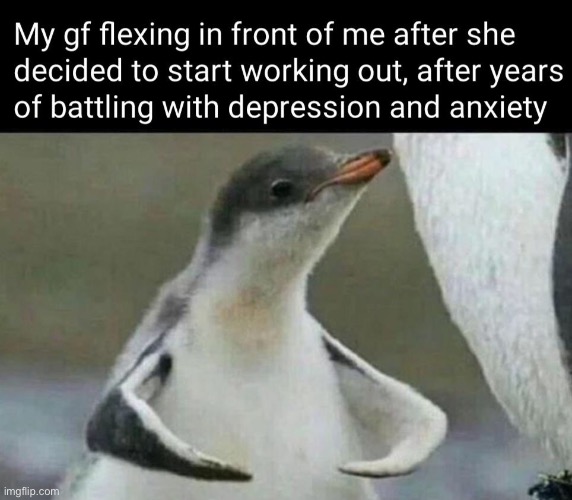image tagged in memes,funny,wholesome | made w/ Imgflip meme maker