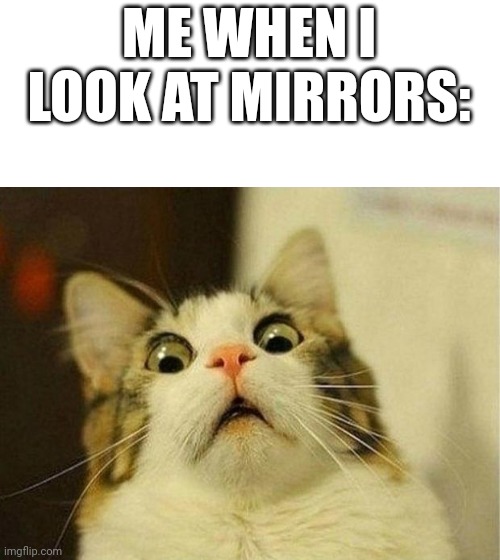 Fr | ME WHEN I LOOK AT MIRRORS: | image tagged in memes,scared cat | made w/ Imgflip meme maker