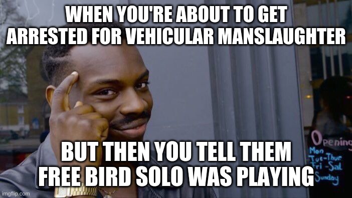 Roll Safe Think About It | WHEN YOU'RE ABOUT TO GET ARRESTED FOR VEHICULAR MANSLAUGHTER; BUT THEN YOU TELL THEM FREE BIRD SOLO WAS PLAYING | image tagged in memes,roll safe think about it | made w/ Imgflip meme maker
