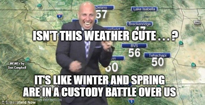 Idiot Weatherman | ISN'T THIS WEATHER CUTE . . . ? MEMEs by Dan Campbell; IT'S LIKE WINTER AND SPRING ARE IN A CUSTODY BATTLE OVER US | image tagged in idiot weatherman | made w/ Imgflip meme maker