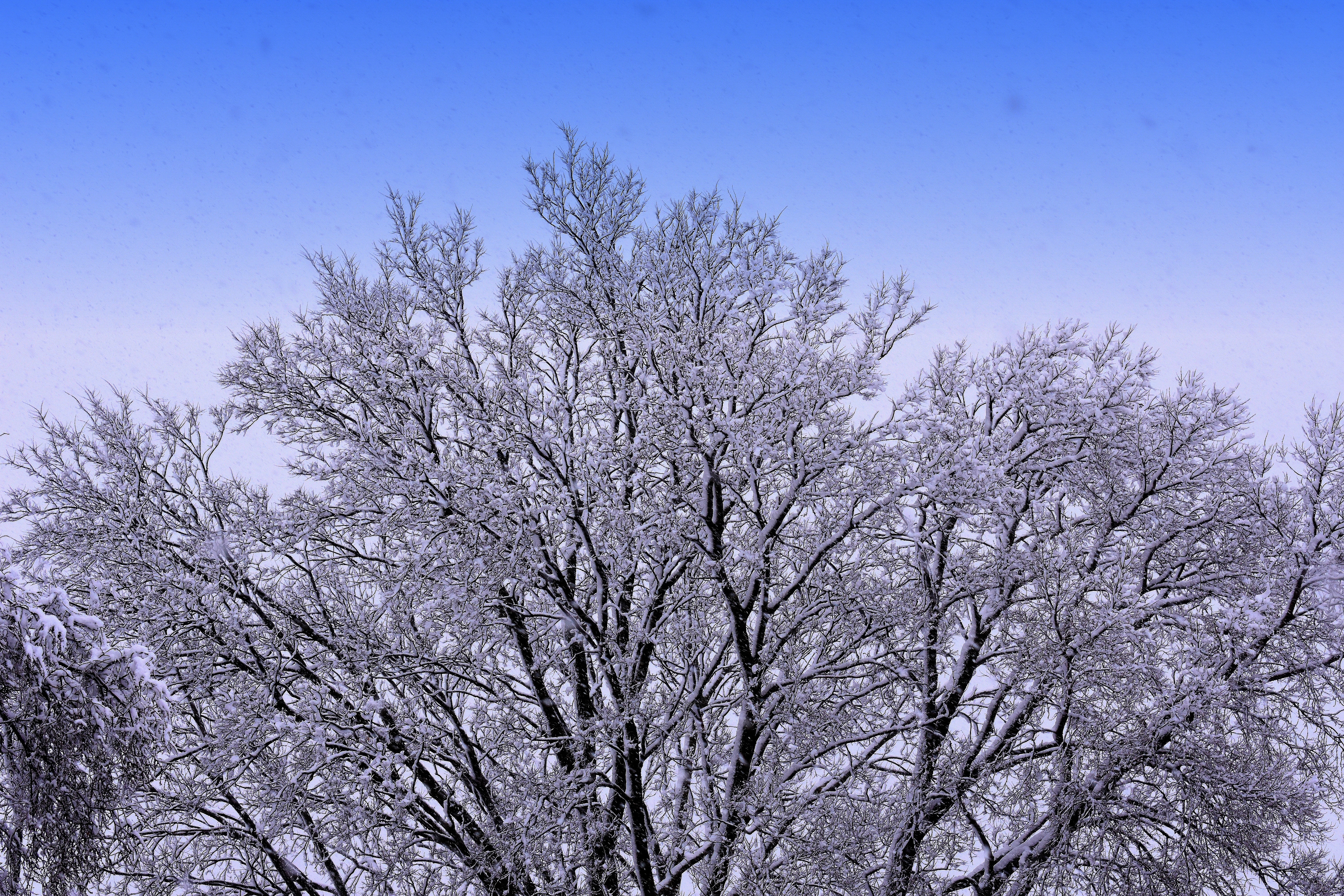 We got 5 inches of snow last night 3/25/23 | made w/ Imgflip meme maker