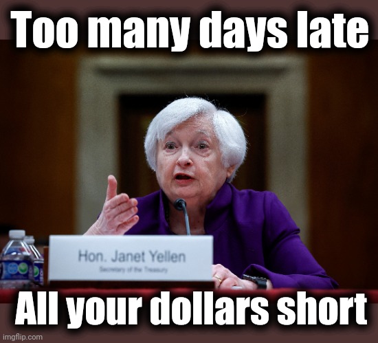 Perfect for democrats: all academia and government, no practical experience, a preferred diversity status, and incompetent | Too many days late; All your dollars short | image tagged in memes,janet yellen,democrats,joe biden,banks,federal reserve | made w/ Imgflip meme maker