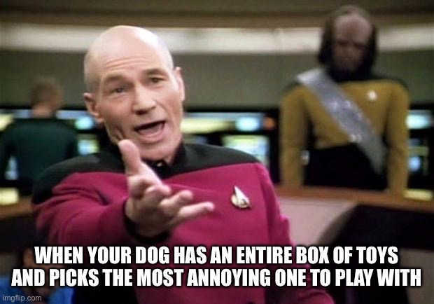 Dog Plays With Annoying Toy | WHEN YOUR DOG HAS AN ENTIRE BOX OF TOYS AND PICKS THE MOST ANNOYING ONE TO PLAY WITH | image tagged in startrek,dogs,toys,annoying,squeaky | made w/ Imgflip meme maker