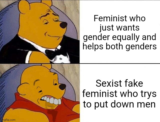 I will reflect that sexism towards men is still sexism and fake "feminist" who puts down men are sexist and horrible so let's lo | Feminist who just wants gender equally and helps both genders; Sexist fake feminist who trys to put down men | image tagged in tuxedo winnie the pooh grossed reverse,feminist,feminism,memes | made w/ Imgflip meme maker