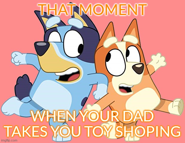 Bluey And Bingo Toys Meme | THAT MOMENT; WHEN YOUR DAD TAKES YOU TOY SHOPING | image tagged in bluey | made w/ Imgflip meme maker