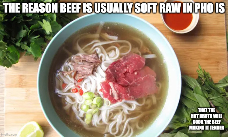 Raw Beef in Pho | THE REASON BEEF IS USUALLY SOFT RAW IN PHO IS; THAT THE HOT BROTH WILL COOK THE BEEF MAKING IT TENDER | image tagged in noodles,memes,food | made w/ Imgflip meme maker
