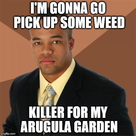 Successful Black Man Meme | I'M GONNA GO PICK UP SOME WEED KILLER FOR MY ARUGULA GARDEN | image tagged in memes,successful black man | made w/ Imgflip meme maker
