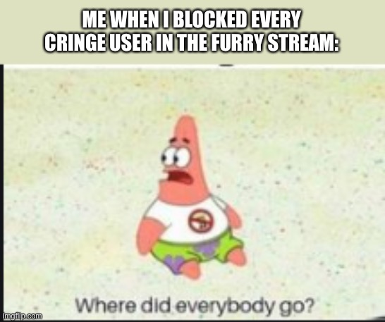 alone patrick | ME WHEN I BLOCKED EVERY CRINGE USER IN THE FURRY STREAM: | image tagged in alone patrick | made w/ Imgflip meme maker