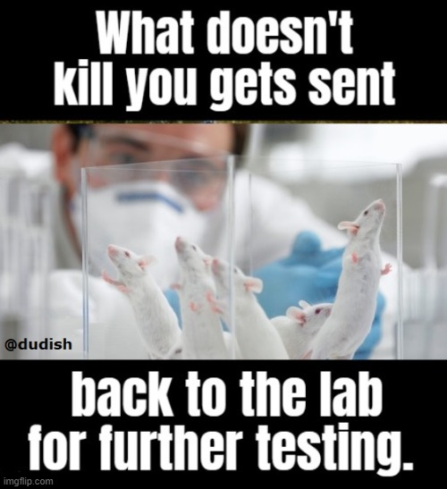 Look, mom! Lab rats! | image tagged in vaccine,memes,covid-19,meme,health,politics | made w/ Imgflip meme maker