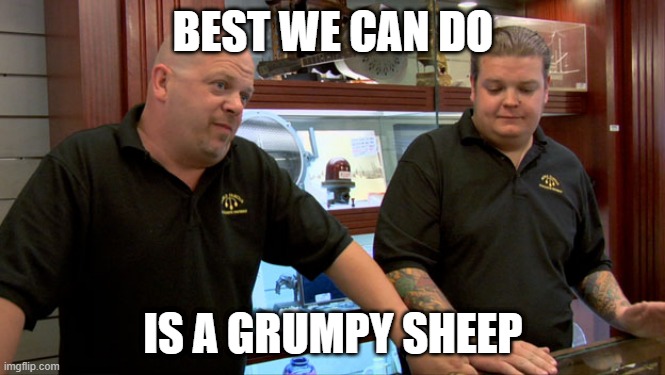 Pawn Stars Best I Can Do | BEST WE CAN DO; IS A GRUMPY SHEEP | image tagged in pawn stars best i can do | made w/ Imgflip meme maker
