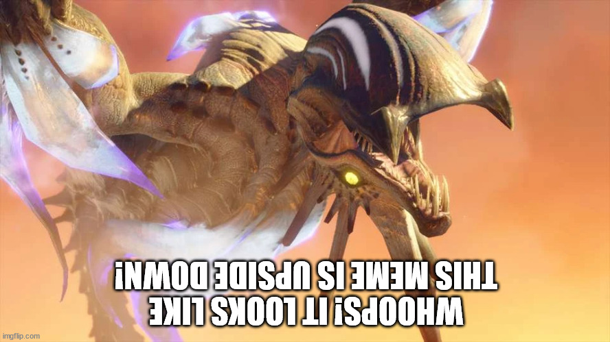 WHOOPS! IT LOOKS LIKE THIS MEME IS UPSIDE DOWN! | image tagged in monster hunter | made w/ Imgflip meme maker