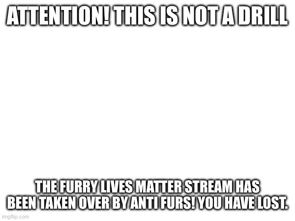 THIS IS NOT A DRILL | ATTENTION! THIS IS NOT A DRILL; THE FURRY LIVES MATTER STREAM HAS BEEN TAKEN OVER BY ANTI FURS! YOU HAVE LOST. | image tagged in furry | made w/ Imgflip meme maker