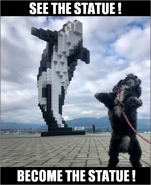 Dog Having A Whale Of A Time ! | SEE THE STATUE ! BECOME THE STATUE ! | image tagged in dogs,art,whale,statue | made w/ Imgflip meme maker