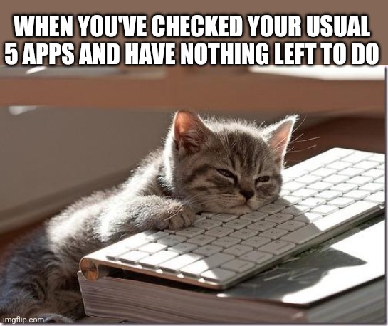 cat |  WHEN YOU'VE CHECKED YOUR USUAL 5 APPS AND HAVE NOTHING LEFT TO DO | image tagged in bored keyboard cat | made w/ Imgflip meme maker