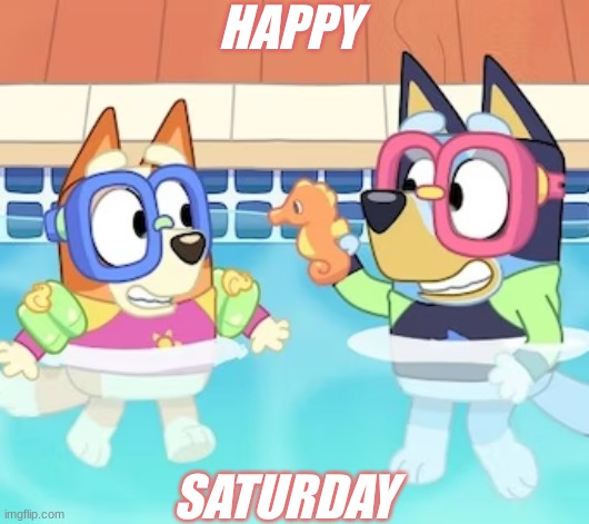 Bluey And Bingo Happy Saturday | HAPPY; SATURDAY | image tagged in bluey | made w/ Imgflip meme maker