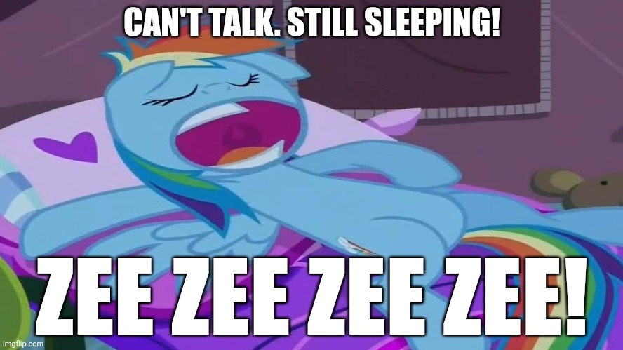 CAN'T TALK. STILL SLEEPING! ZEE ZEE ZEE ZEE! | made w/ Imgflip meme maker