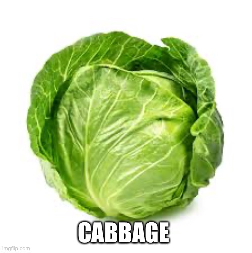 Yes. Read the tags for why this is funny | CABBAGE | image tagged in cabbage | made w/ Imgflip meme maker