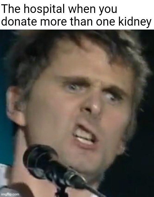 Strange how it was already removed too | The hospital when you donate more than one kidney | image tagged in matt bellamy | made w/ Imgflip meme maker