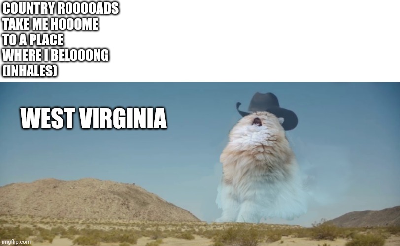 singing cat | COUNTRY ROOOOADS
TAKE ME HOOOME
TO A PLACE
WHERE I BELOOONG
(INHALES) WEST VIRGINIA | image tagged in singing cat | made w/ Imgflip meme maker
