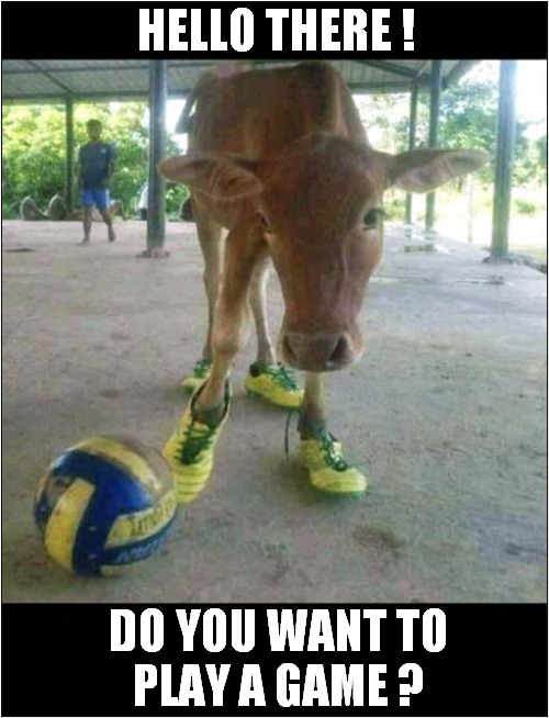 Calf Into Sports ! | HELLO THERE ! DO YOU WANT TO
PLAY A GAME ? | image tagged in calf,sports,i want to play a game | made w/ Imgflip meme maker