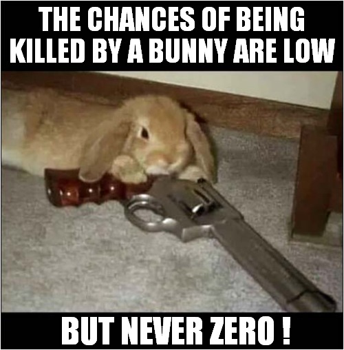 Armed And Dangerous ! | THE CHANCES OF BEING KILLED BY A BUNNY ARE LOW; BUT NEVER ZERO ! | image tagged in bunny,handgun,dark humour | made w/ Imgflip meme maker