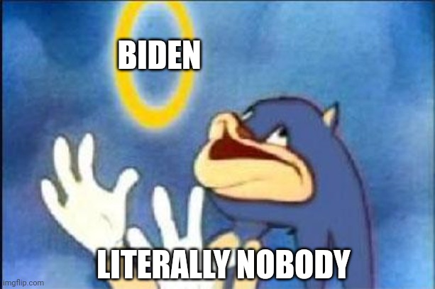 Sonic derp | BIDEN; LITERALLY NOBODY | image tagged in sonic derp | made w/ Imgflip meme maker