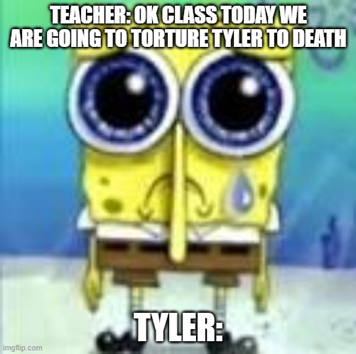 nooooo | TEACHER: OK CLASS TODAY WE ARE GOING TO TORTURE TYLER TO DEATH; TYLER: | image tagged in memes,funny memes,antimeme,dankestestmemes,dank memes,funny meme | made w/ Imgflip meme maker