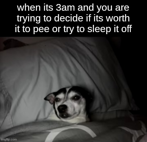 ¨i need to pee, but i dont want to wake anybody up¨ | when its 3am and you are trying to decide if its worth it to pee or try to sleep it off | image tagged in sleep,dog,pee | made w/ Imgflip meme maker