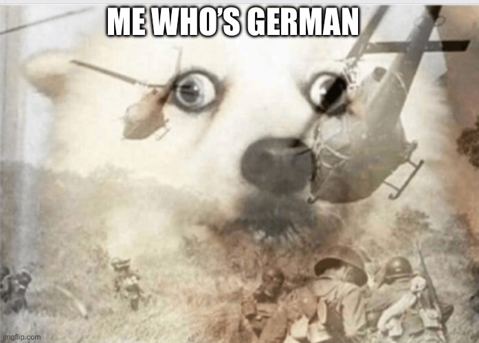 PTSD dog | ME WHO’S GERMAN | image tagged in ptsd dog | made w/ Imgflip meme maker