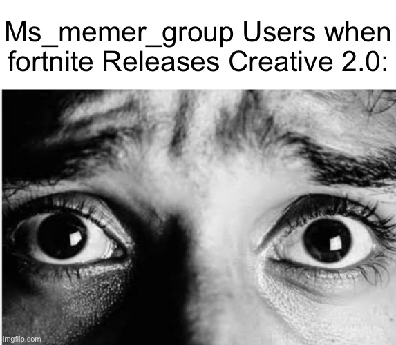 Unnerved Stare | Ms_memer_group Users when fortnite Releases Creative 2.0: | image tagged in unnerved stare,memes | made w/ Imgflip meme maker