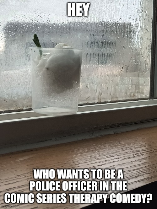 I need police officers for the series Therapy comedy | HEY; WHO WANTS TO BE A POLICE OFFICER IN THE COMIC SERIES THERAPY COMEDY? | image tagged in therapy comedy | made w/ Imgflip meme maker