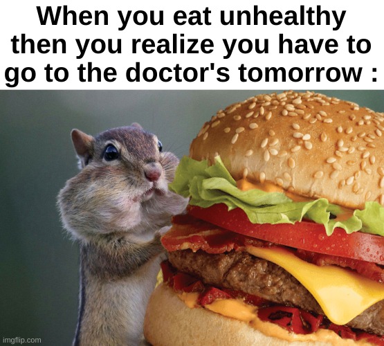 "Oh shi-" | When you eat unhealthy then you realize you have to go to the doctor's tomorrow : | image tagged in memes,relatable,funny,squirrel,junk food,front page plz | made w/ Imgflip meme maker