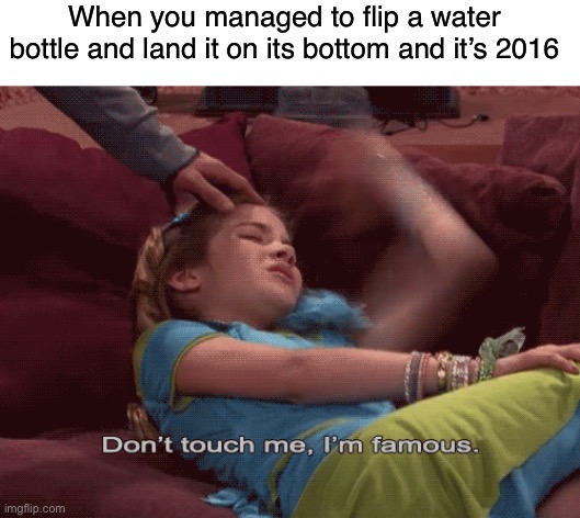 Comment if you remember the bottle flip trend | When you managed to flip a water bottle and land it on its bottom and it’s 2016 | image tagged in don't touch me i'm famous,memes,funny,so true memes,relateable | made w/ Imgflip meme maker