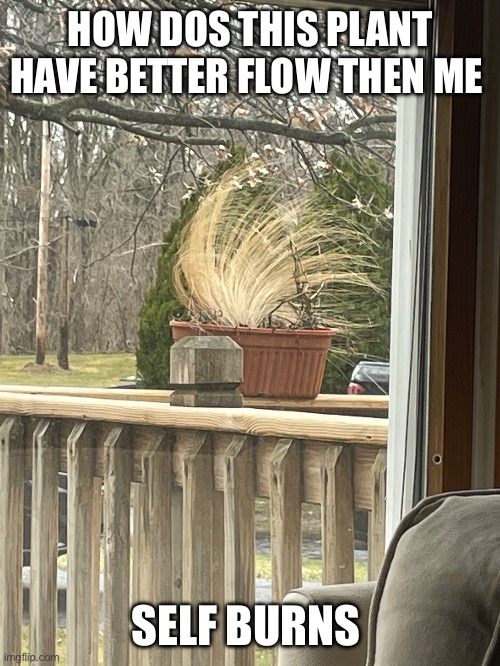 HOW DOS THIS PLANT HAVE BETTER FLOW THEN ME; SELF BURNS | made w/ Imgflip meme maker