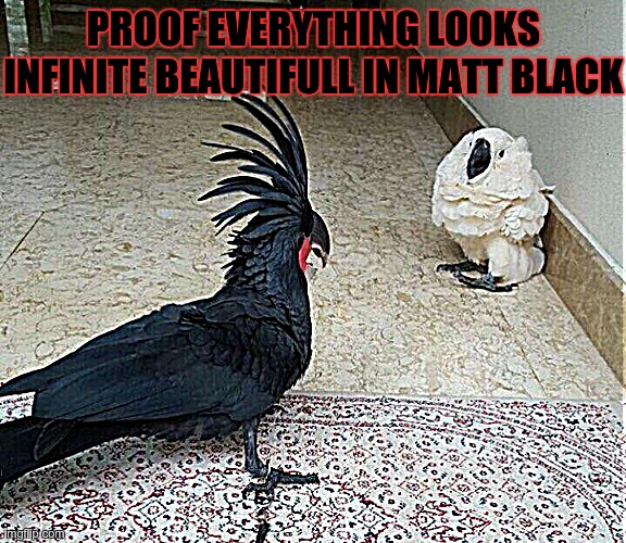 black's beautiful. | PROOF EVERYTHING LOOKS INFINITE BEAUTIFULL IN MATT BLACK | image tagged in black vs white | made w/ Imgflip meme maker