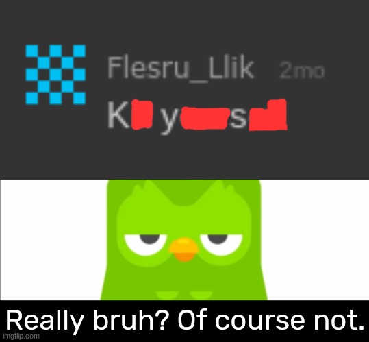 Someone told me to kms [It's Funner] | Really bruh? Of course not. | image tagged in duolingo was unimpressed,idk,stuff,s o u p,carck | made w/ Imgflip meme maker