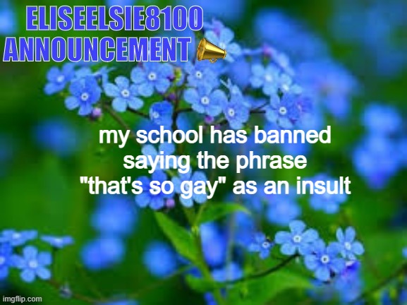 EliseElsie8100 Announcement | my school has banned saying the phrase "that's so gay" as an insult | image tagged in eliseelsie8100 announcement | made w/ Imgflip meme maker