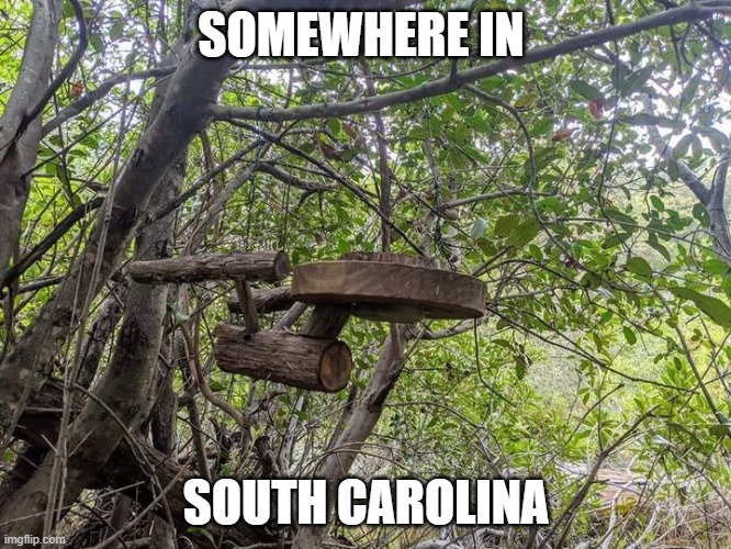 Somewhere in South Carolina | SOMEWHERE IN; SOUTH CAROLINA | image tagged in somewhere in south carolina | made w/ Imgflip meme maker