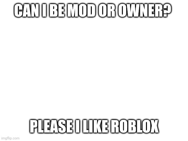 CAN I BE MOD OR OWNER? PLEASE I LIKE ROBLOX | made w/ Imgflip meme maker